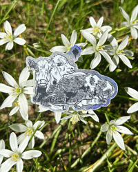Image 1 of three headed calf - glitter sticker
