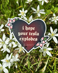 Image 1 of i hope your tesla explodes - vinyl sticker