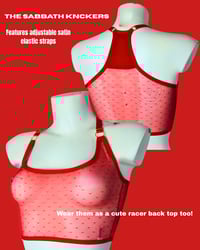 Image 4 of The SABBATH overt knickers in spicy red pin dot mesh