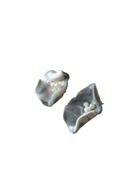 Image 1 of White Silver Petals 🤍🩶