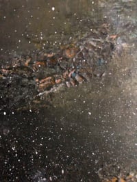 Image 2 of Wild Seas 2 