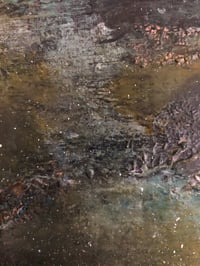 Image 4 of Wild Seas 2 
