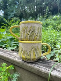 Image 3 of Yellow Grass Mugs
