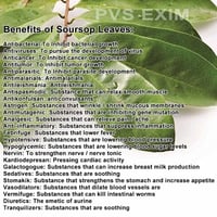 Image 5 of 100% Organic Soursop leaf tea bags