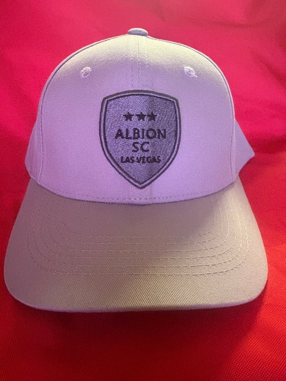 Image of Grey ALBION hat 