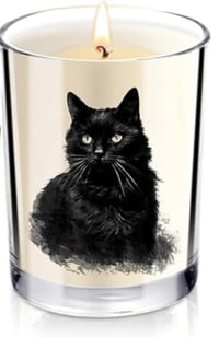 Image 1 of Samhain/Halloween Candles (7oz)