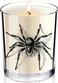 Image 3 of Samhain/Halloween Candles (7oz)