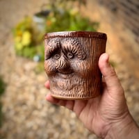 Image 5 of Face Planter 2
