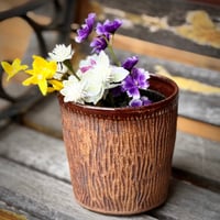 Image 3 of Face Planter 2