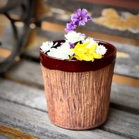 Image 3 of Face Planter 5