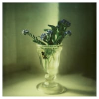 Fine Art Print #4