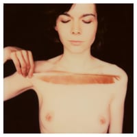 Fine Art Print #5