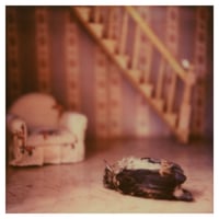 Fine Art Print #9