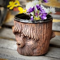 Image 3 of Face Planter 8