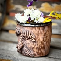 Image 3 of Face Planter 9