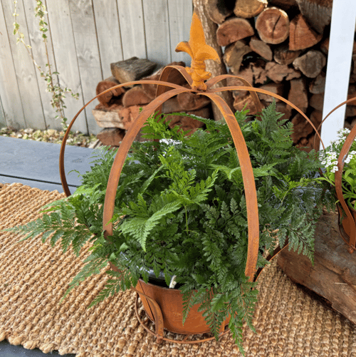Image of Rusted Crown Planter