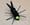 Image of Boga Bug Cork