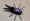 Image of Boga Bug Cork