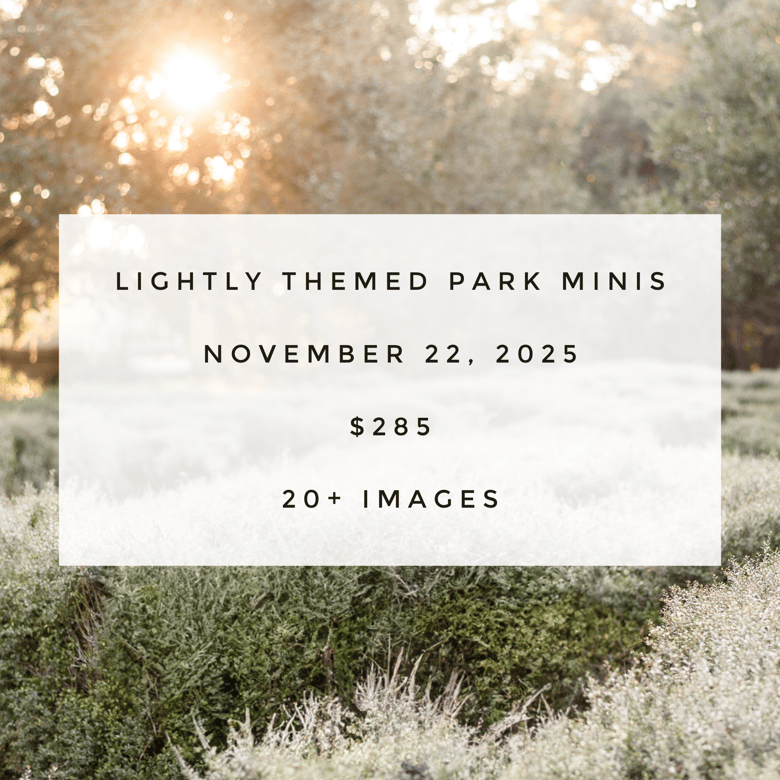 Image of Outdoor Holiday Minis - 11/22/25