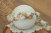 Newborn/Sitter Halo 3