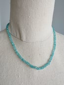 Image 5 of Knotted Apatite Necklace