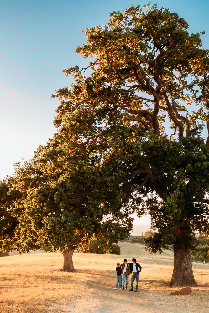 Image of NEW! Horsepark Los Altos Full Sessions