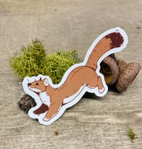 Image 2 of Stoat Sticker