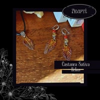 Image 1 of ☽ Castanea Helios ☾