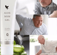 Image 13 of Aloe MSM Gel