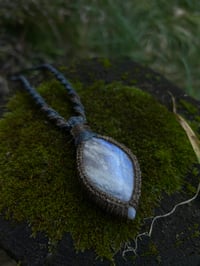 Image 4 of Rainbow Moonstone