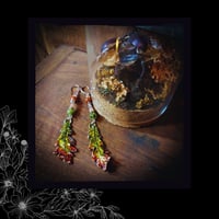 Image 4 of ☽ Glans Vindemia ☾