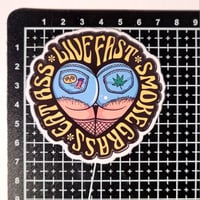 Image 2 of Live Fast, Smoke Grass, Eat Ass Booty in Denim Short Shorts & Fishnet Stockings Matte Vinyl Sticker