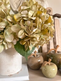 Image 2 of Dusky Green Giant Hydrangeas ( Set of 2 )