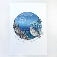 Copy of The Great Outdoors A to Z - C