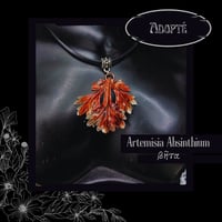 Image 3 of ☽ Artemisia Absinthium ☾