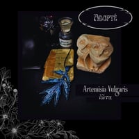 Image 10 of ☽ Artemisia Vulgaris ☾