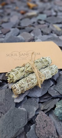Image 4 of Palo Santo & Sage