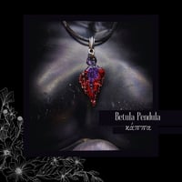 Image 1 of ☽ Betula Pendula ☾