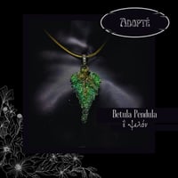 Image 7 of ☽ Betula Pendula ☾