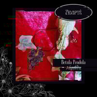 Image 12 of ☽ Betula Pendula ☾