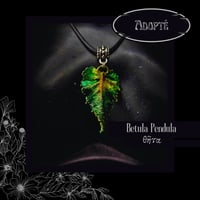 Image 10 of ☽ Betula Pendula ☾