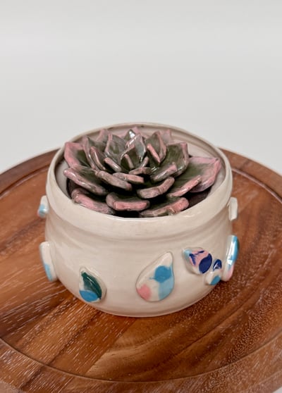 Image of Succulent Plant Sculpture 