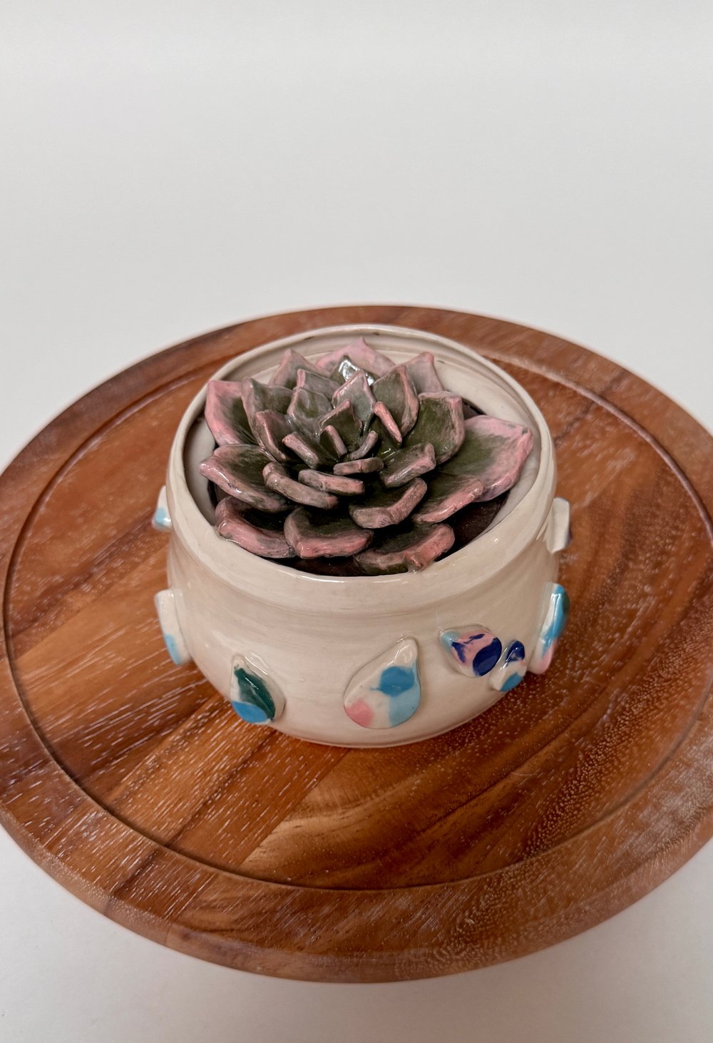 Image of Succulent Plant Sculpture 