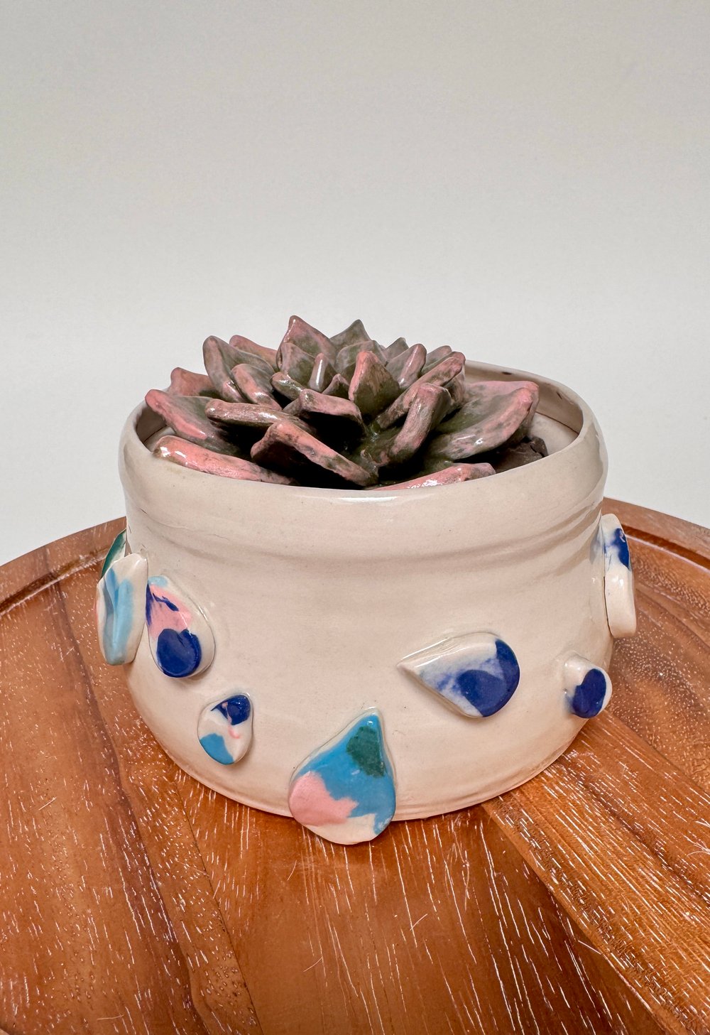 Image of Succulent Plant Sculpture 