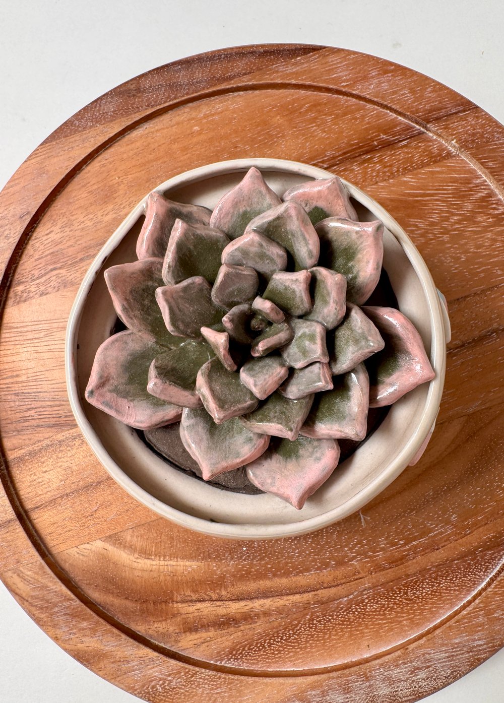 Image of Succulent Plant Sculpture 