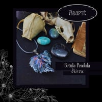 Image 6 of ☽ Betula Pendula ☾