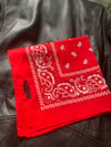 Fisting embroidered hanky