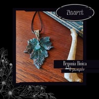 Image 16 of ☽ Bryonia Dioica ☾