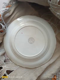 Image 6 of Plat de présentation polychrome 