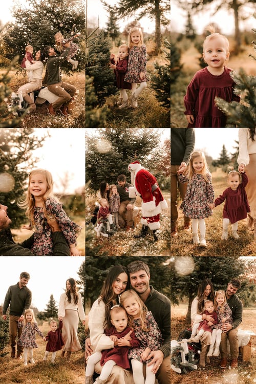 Image of LET IT SNOW- TREE FARM MINIS -  2025 $475